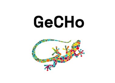 gecho_logo