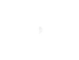 gastroticino